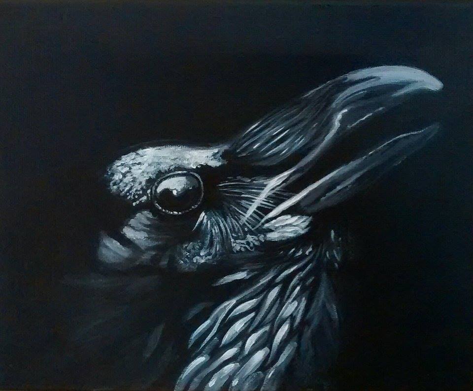 Crow Painting - Corvus