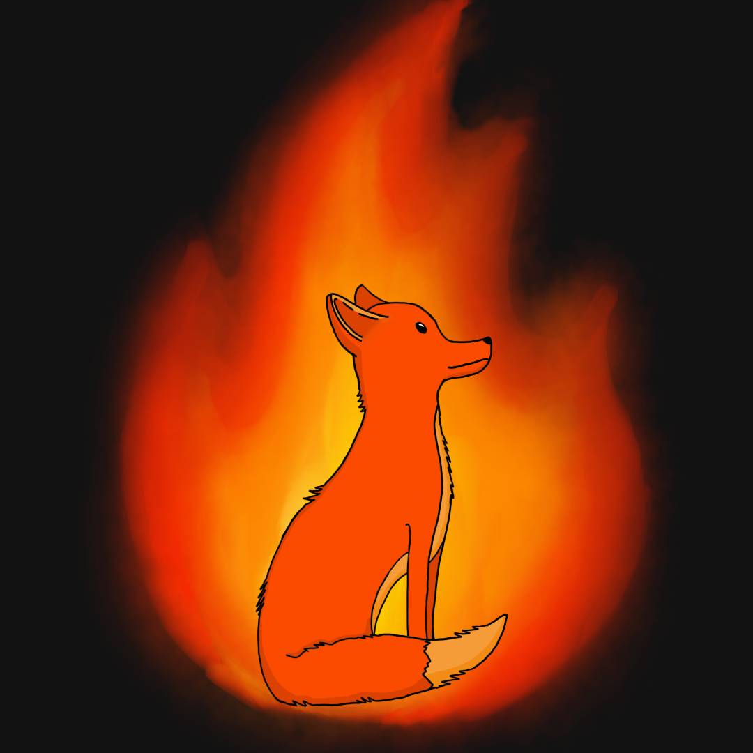 Fox in fire by FranzDm on DeviantArt