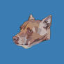 Fini the dog