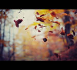 Autumn by Natalyy