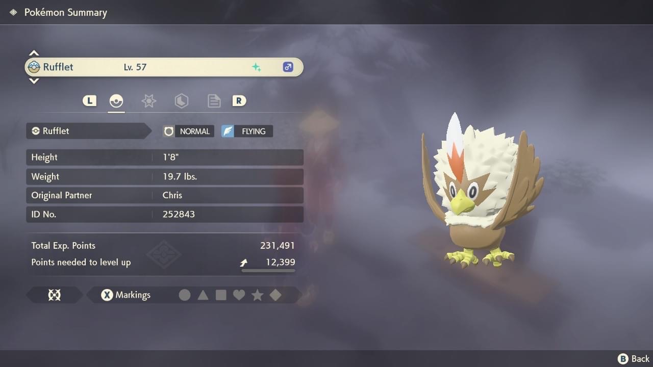 Pokemon Rufflet Evolution Shiny Shiny Rufflet by ChrisGraduate27 on DeviantArt