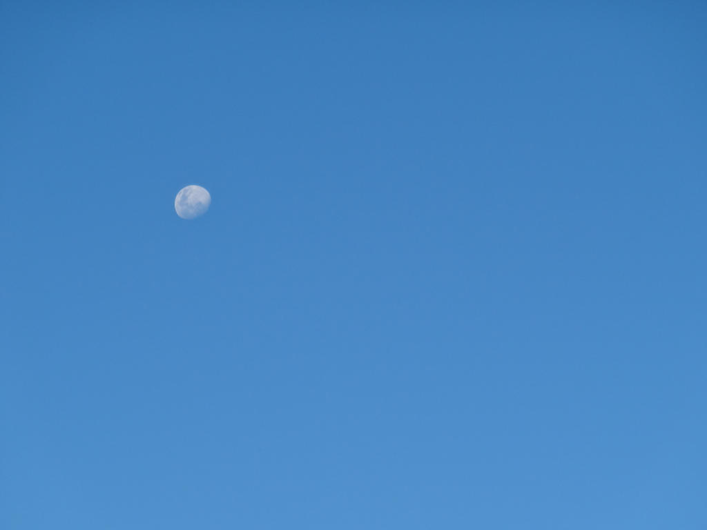 Perfect Blue by Epicurien on DeviantArt