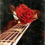Rose and Musik