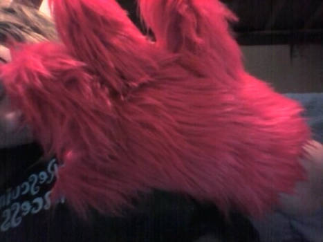 Made my first handpaw! :D