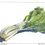 120-3498 - chard
