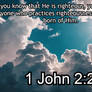 1 John 2:29