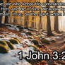 1 John 3:24