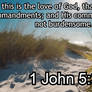 1 John 5:3