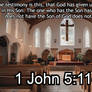 1 John 5:11-12