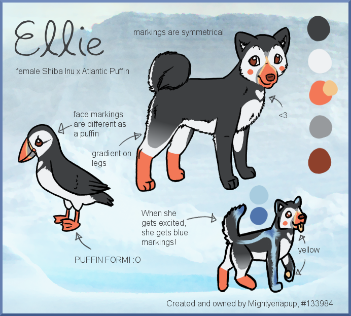 Ellie the Puffin Shiba