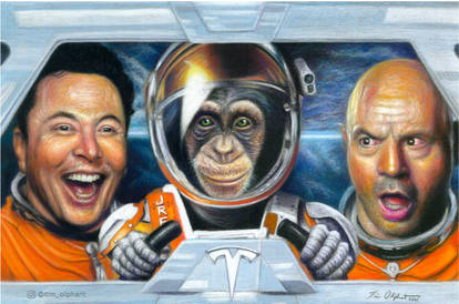 Joe Rogan Evolution Primate Explore the Best Joeroganfanart Art | DeviantArt