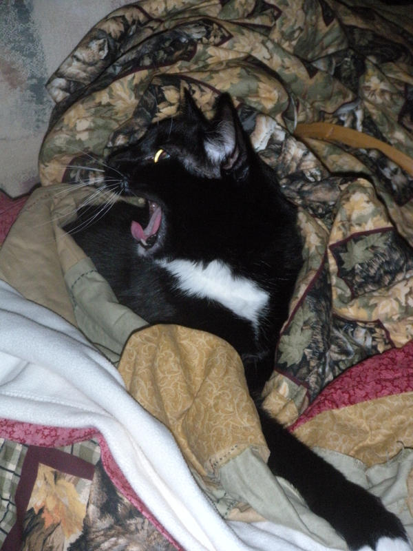 Turd three by Vampiredream13 on DeviantArt