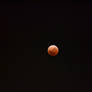 Lunar Eclipse