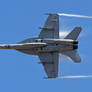 U.S. Navy F-18 Hornet2