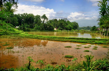 Palopo, Western Sulawesi