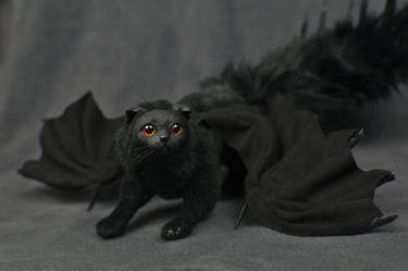 Black Bat Cat