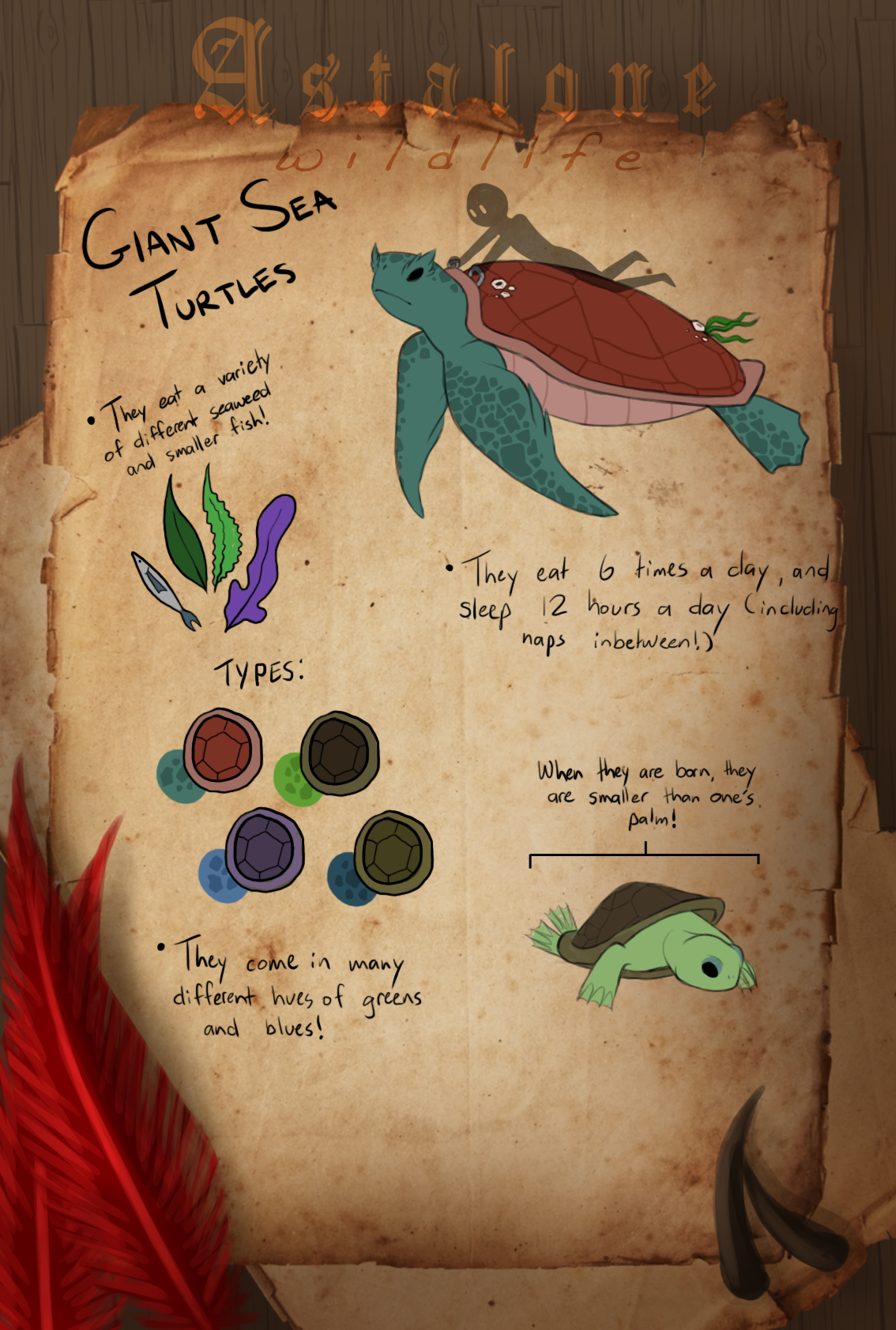 Ast Turtle AST Doc || Giant Sea Turtles by ArohaTheStrange on DeviantArt