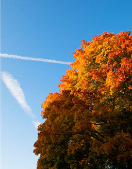 Autumn sky in Zuerich