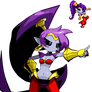 Sonic and Shirobon A. X-Metal Shantae Portrait