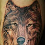 wolf