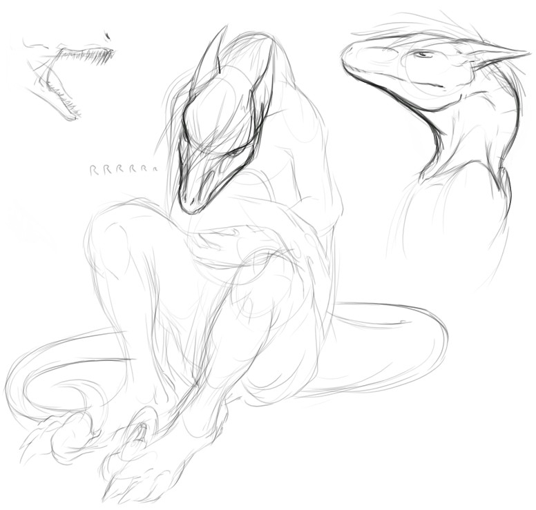 Raptor Thing Study