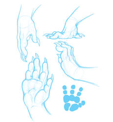 Dragon Paw Study