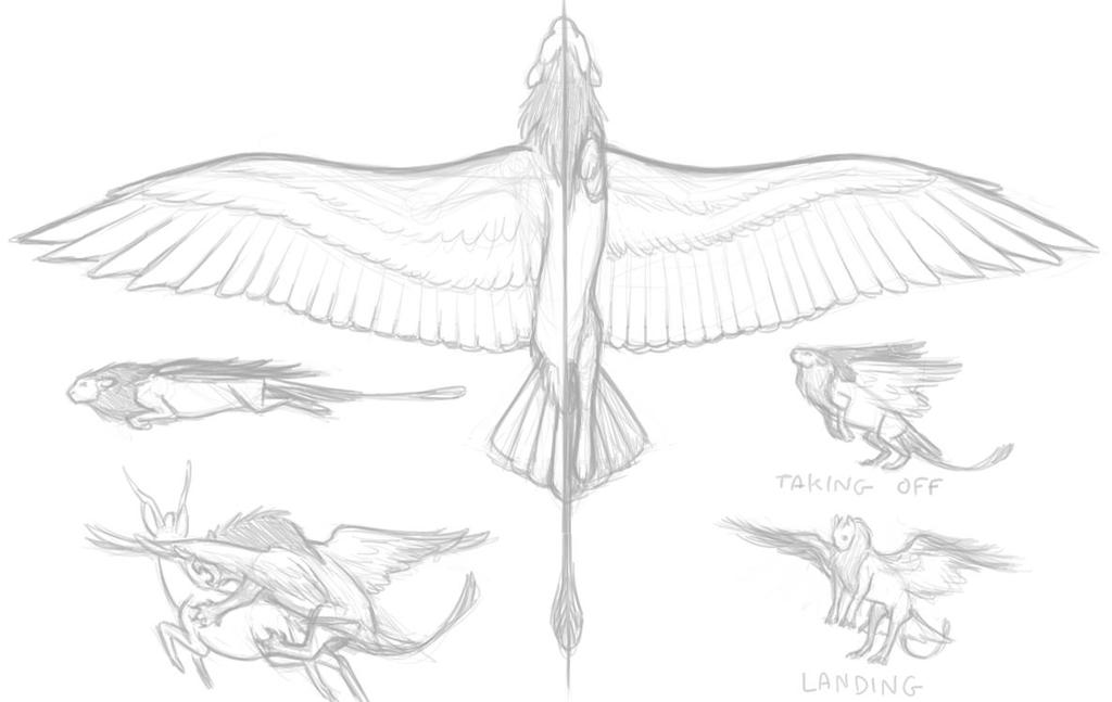 Sphinx Flight by Birvan on DeviantArt