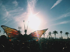 Indio, Coachella