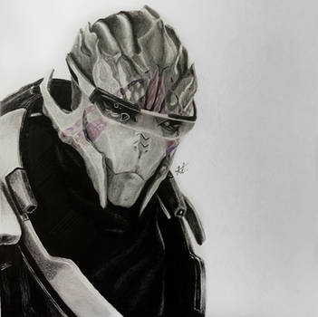 Vetra Nyx