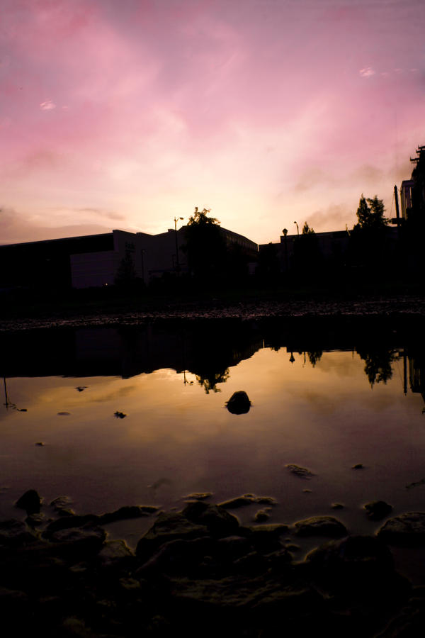 reflective reflectiveness by Pisforzach on DeviantArt