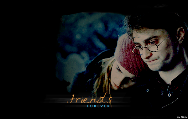 Harry and Hermione - Friends