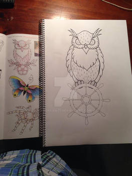 Owl Practice