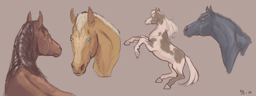 Doodle horsies