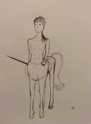 Centaur Full Body