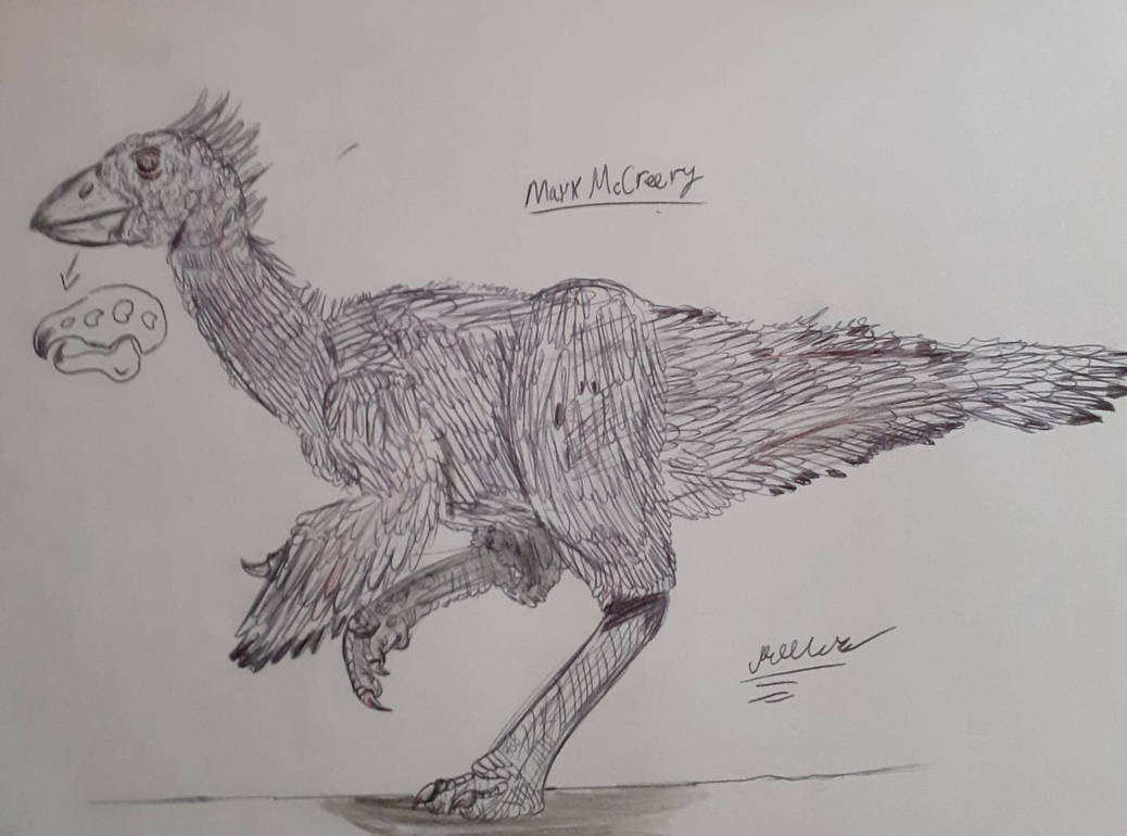 Bird Evolution Deviantart evolved bird concept art by Tremendousaurus on DeviantArt
