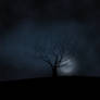 Dark Glympsing Moonlight