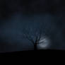 Dark Glympsing Moonlight