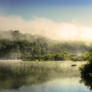 Afternoon fog