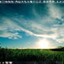 My desktop - November 15, 2009