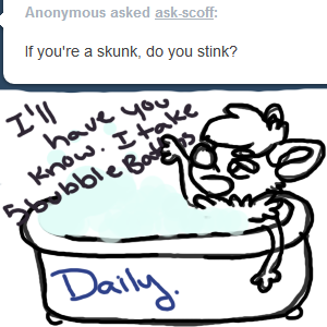 ask Scoff 1