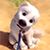 Dog Face