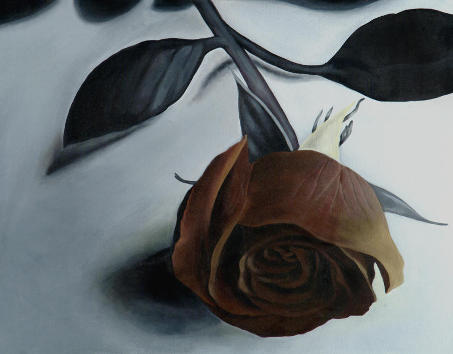 Fading Rose by bmbtheartman on DeviantArt