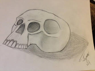 Skull Practice