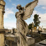 Cemetery angel 2