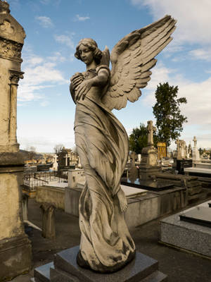 Cemetery angel 2 by dlambeaut Cemetery angel 2 by dlambeaut