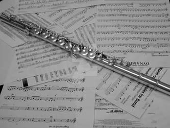 My Flute =]