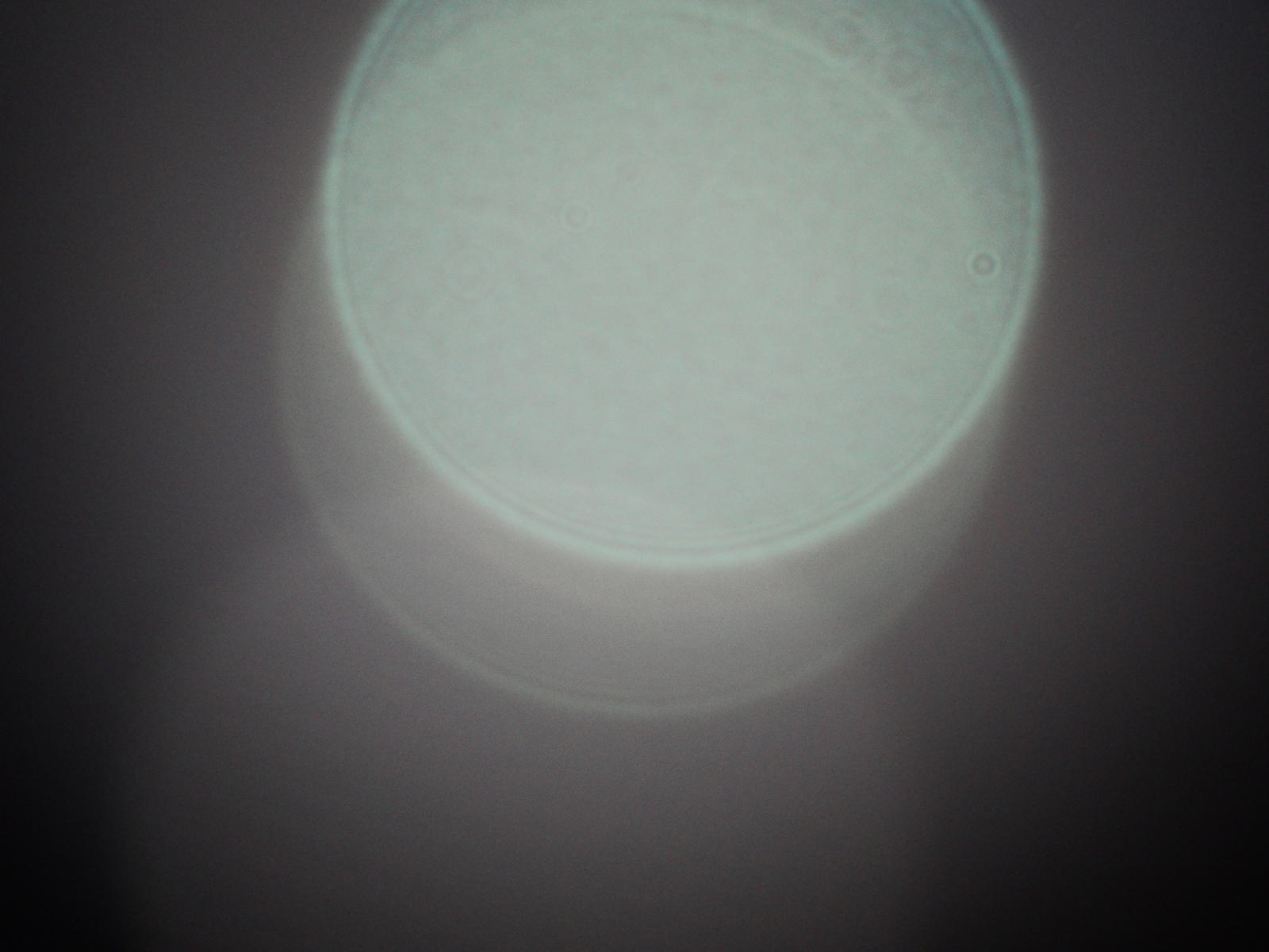 What Is Bokeh Dirty Bokeh by Sajextryus on DeviantArt