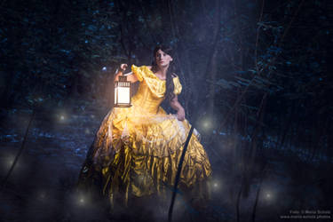 Belle lost in the woods