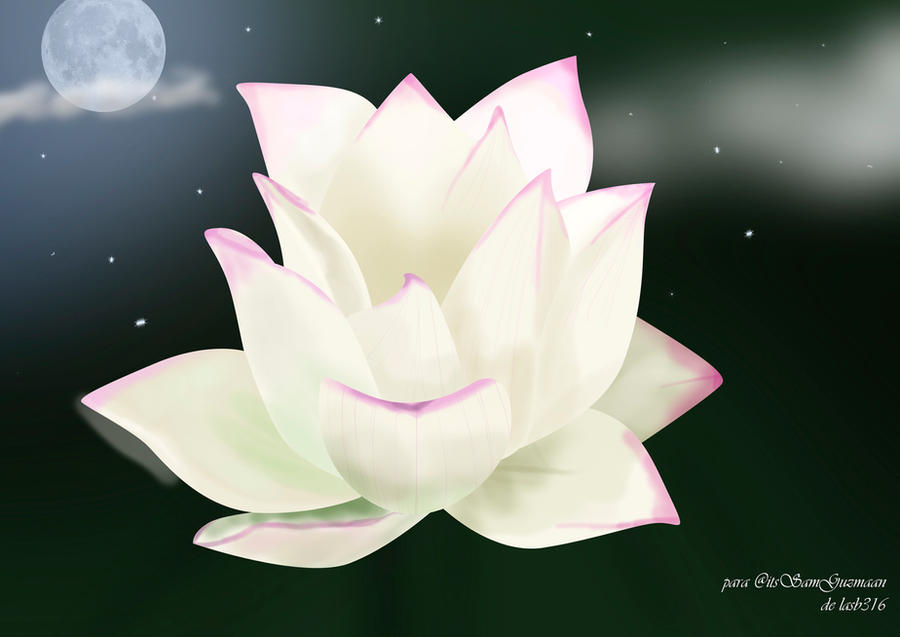 Flor de loto by Repo316 on DeviantArt