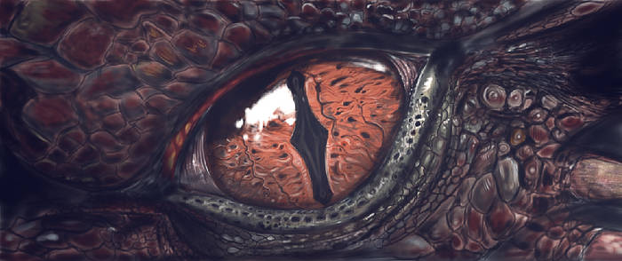 Dragon Eyes by christoskarapanos on DeviantArt